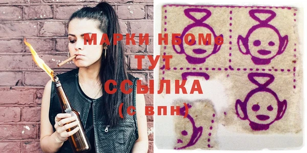 ГАЛЛЮЦИНОГЕННЫЕ ГРИБЫ Ельня