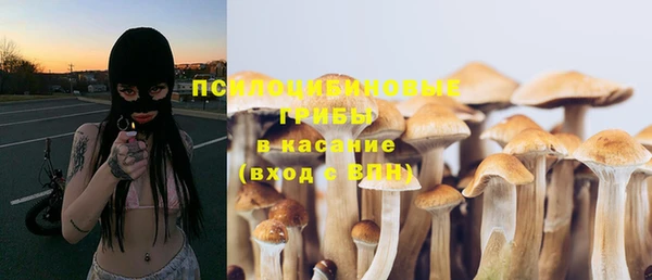 метадон Каменногорск