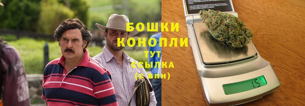 гидропоника Белокуриха