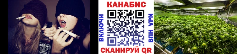 Шишки марихуана индика  hydra рабочий сайт  Красноармейск 